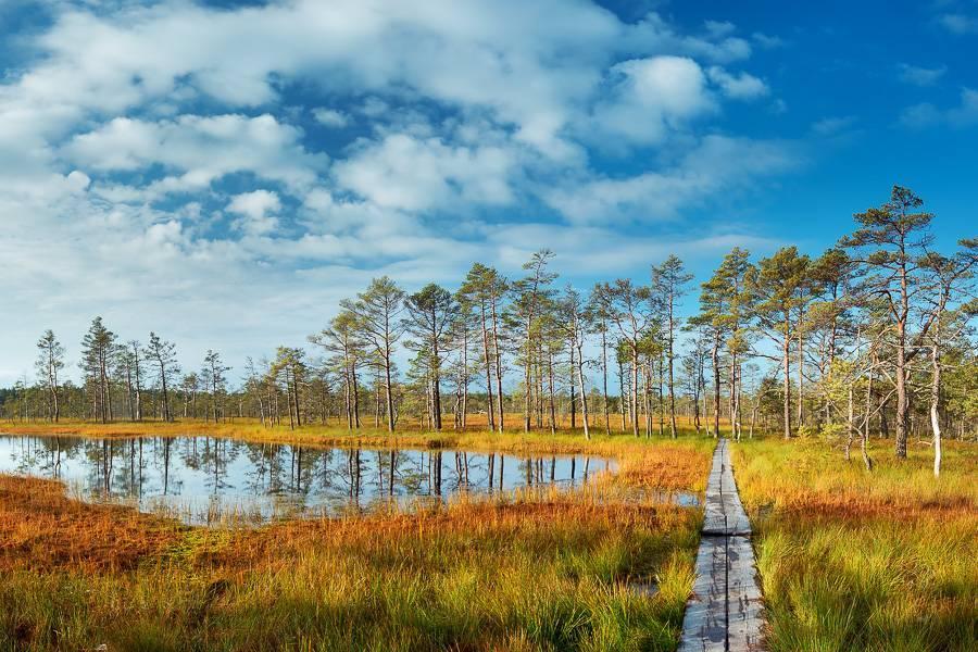 Národní park Lahemaa