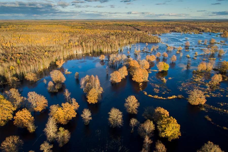 Národní park Soomaa